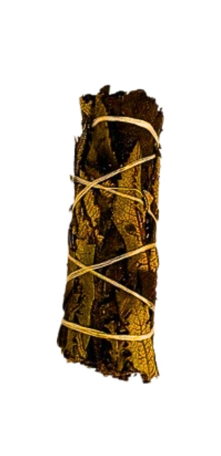 Yerba Santa Sauge Noire